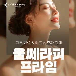 셀더영 울쎄라피프라임