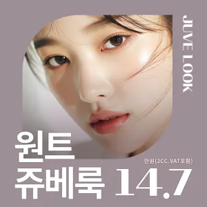 원트 쥬베룩 스킨