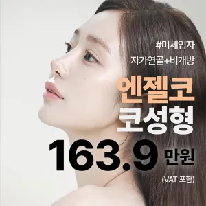 나나 엔젤코 코성형 비개방 자가연골 자가조직 무보형물