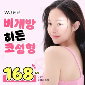 비개방 히든 코성형