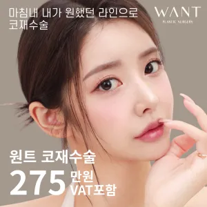 내가 원하던 원트 코재수술