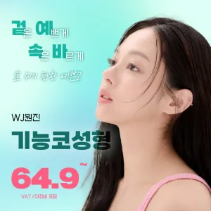 원진 비염코성형