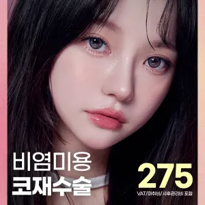 디에이 비염미용 코재수술