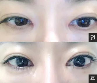 [눈] 코카코쿄 - 눈