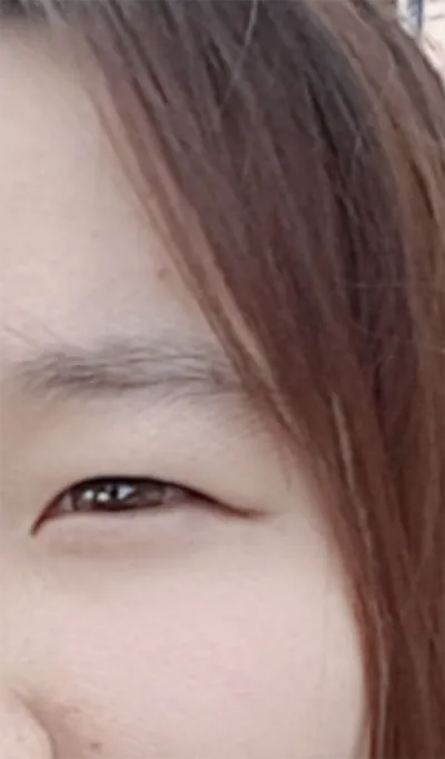 [눈] 호도리얌 - 눈