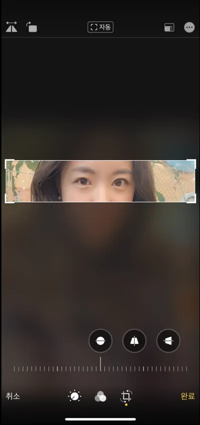 [눈] 한방서동 - 절개