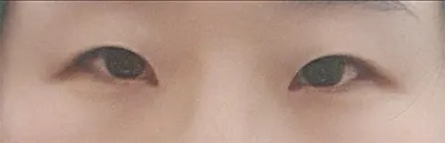 [눈] 핑구찐 - 눈