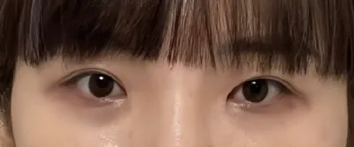 [눈] 뽀삐삐뽀 - 눈