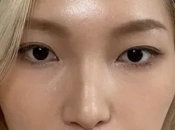 [코] 팡파레 - 코