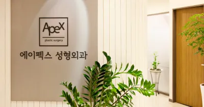 에이펙스성형외과의원