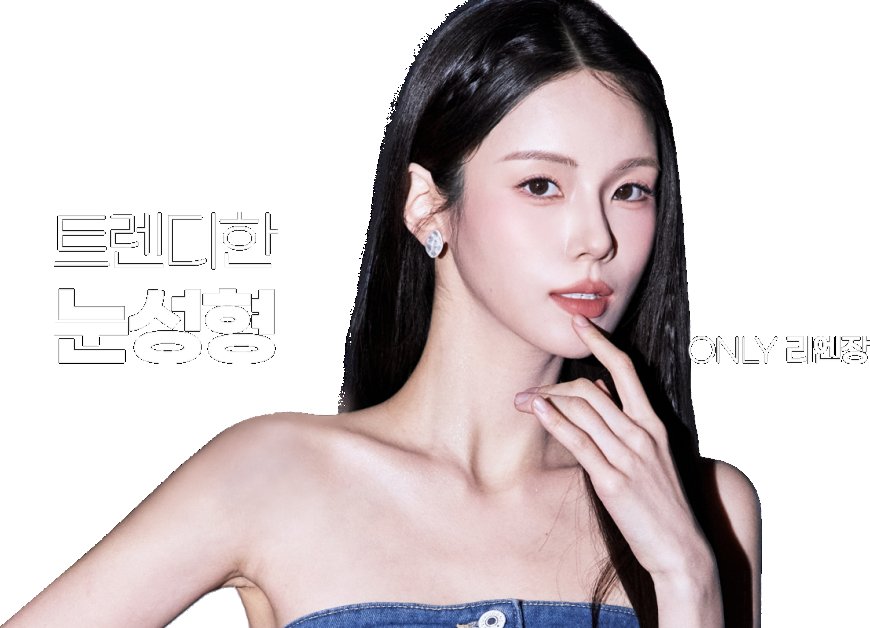 리앤장성형외과 심층 조사 보고서