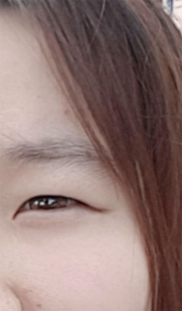 [눈] 호도리얌 - 눈