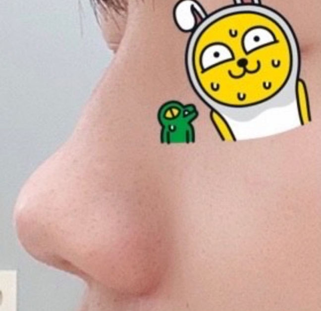 [코] 비숑숑숑숄 - 코