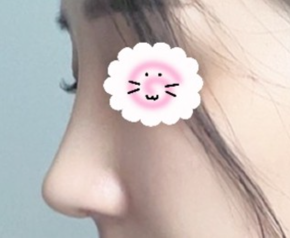 [코] 냥이천국이다 - 코