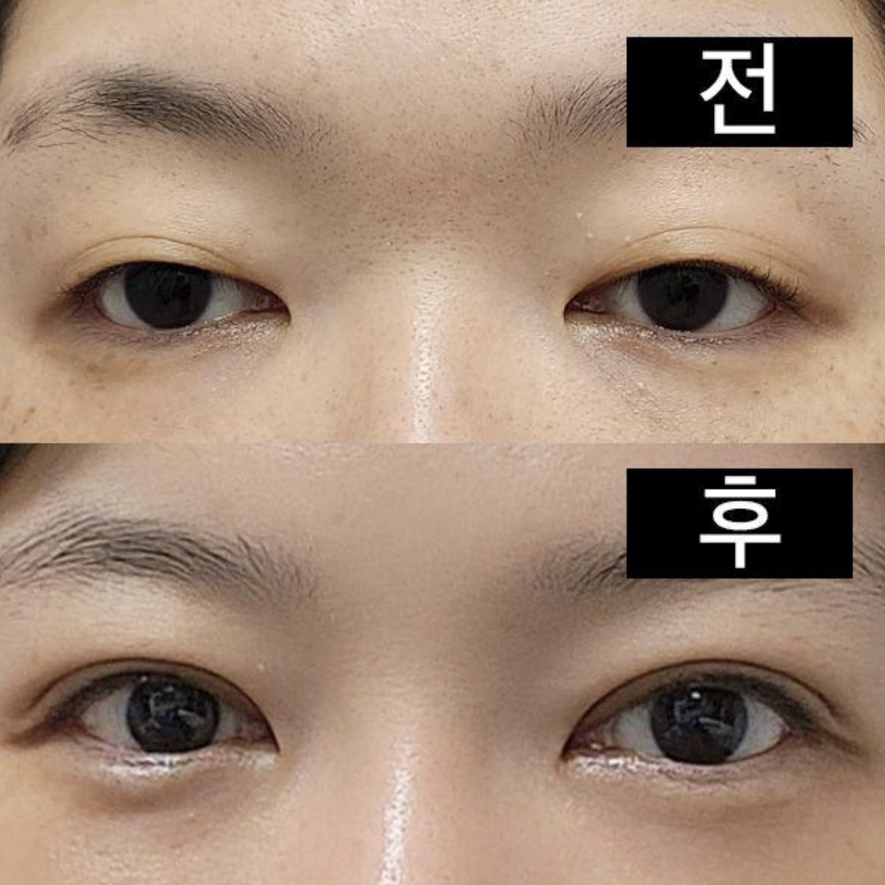 라인이 기가막히게 잡혔어요.