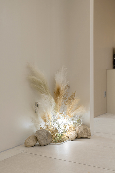 올리팅성형외과의원 - 사진 4